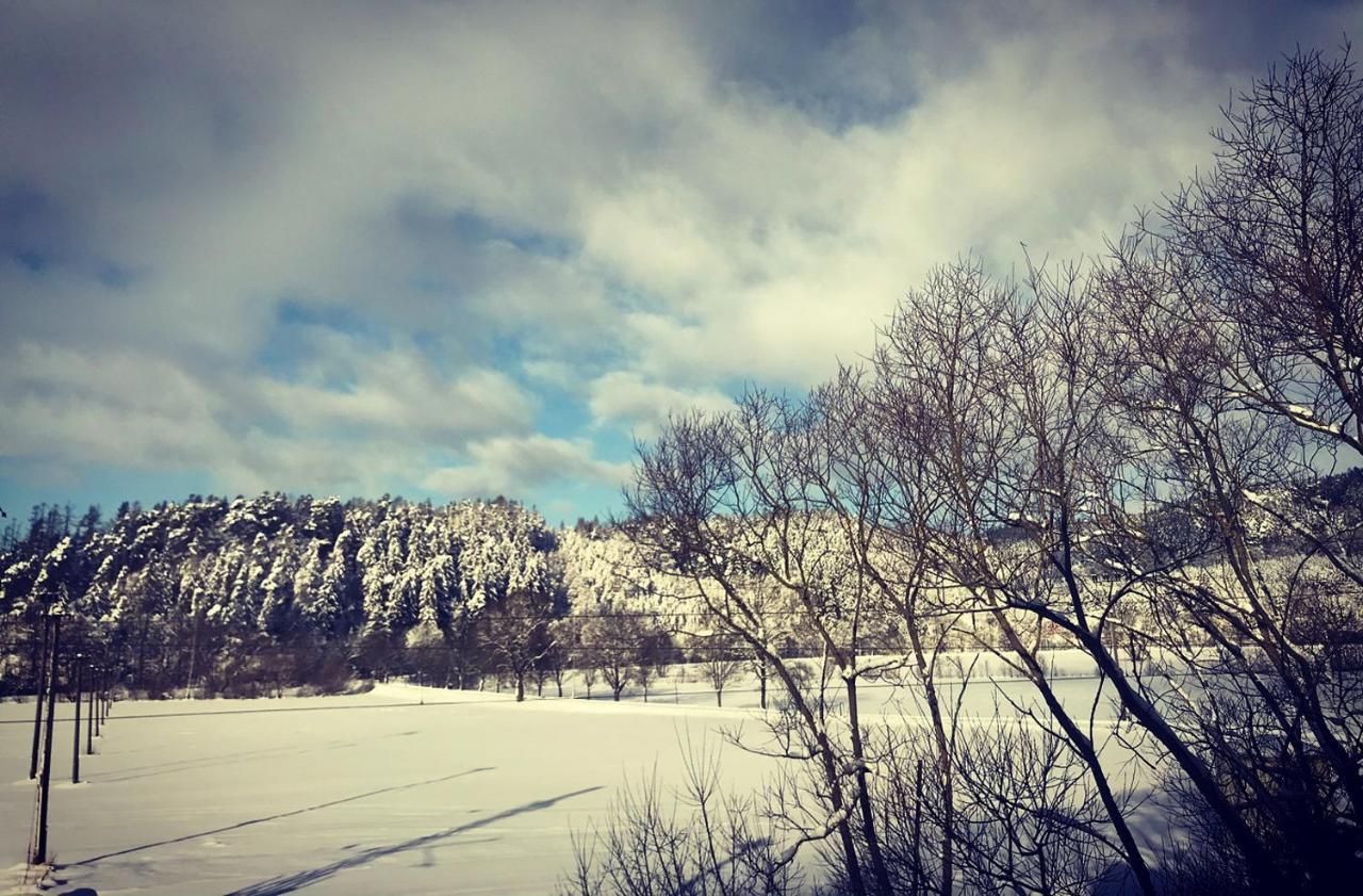 Apartman Ivko Letohrad Luaran gambar